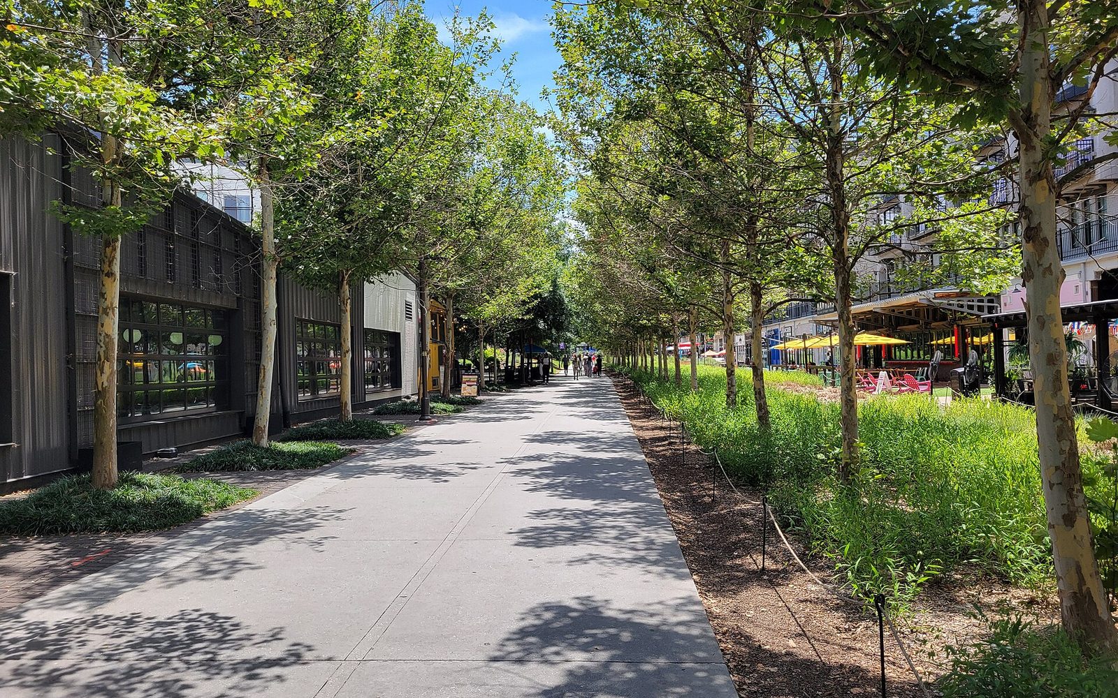 The Atlanta BeltLine Eastside Trail lined with trees and neighborhood shops